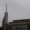 img_0196.jpg