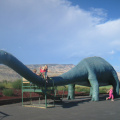 img 0101
