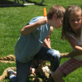 img_4906.jpg