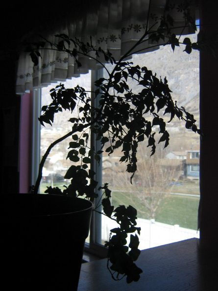 img_5492.jpg