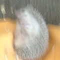 20130514_133911.jpg