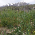 20130516 133340