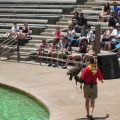 img_0680.jpg