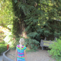 img_1366.jpg