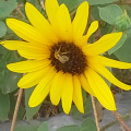 20130827 111229