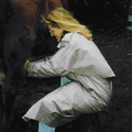 Milking la vaca