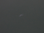 img 0172