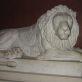 img 0265