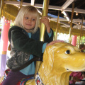 img 1378