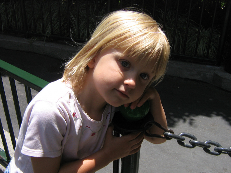img_2432.jpg