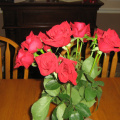 img 4875
