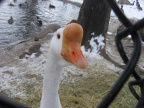 img 5861