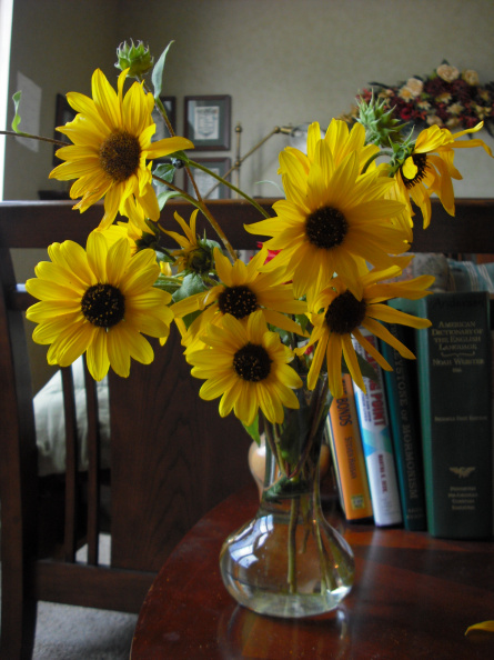 Sunflowers