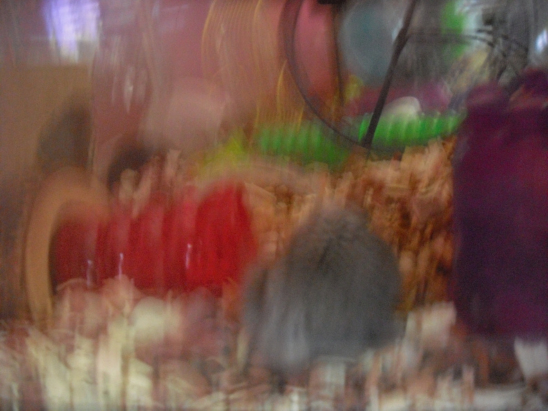 CIMG8749.JPG