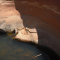 cimg0208.jpg