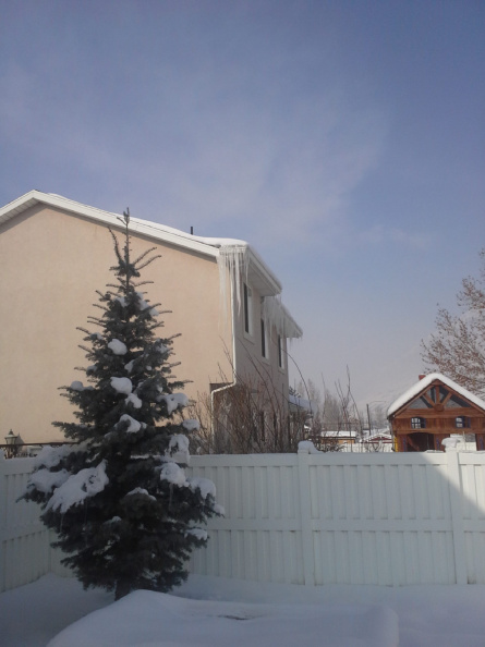 20130107_133159.jpg