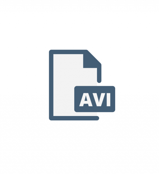 MVI_3373.avi
